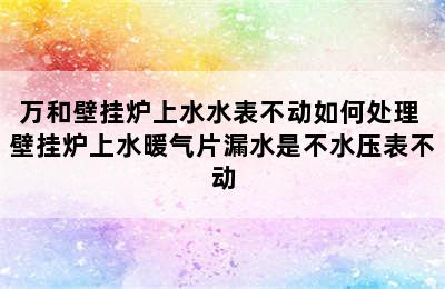 万和壁挂炉上水水表不动如何处理 壁挂炉上水暖气片漏水是不水压表不动